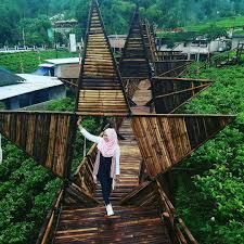 Selain pohon cokelat yang tumbuh di area kampung ini yang menjadi keindahan tersendiri, para pengunjung bisa ikut serta dalam pemetikan, pemanenan, dan pengolahan buah cokelat yang dipandu oleh para. Lokasi Dan Harga Tiket Masuk Taman Bintang Kemuning Ketika Kebun Teh Disulap Menjadi Spot Wisata Yang Menarik Daka Tour