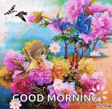 795 tykkäystä · 53 puhuu tästä. Good Morning Flowers Gif Good Morning Flowers Sparkles Discover Share Gifs