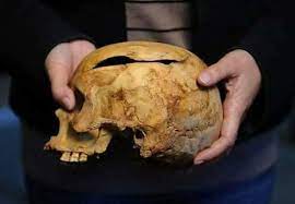 Osmanlı'da tokatçılar birliği osmanlı ordusu askerlerinin silahsız savunma ya da saldırı durumunda kullandıkları, elin her iki yanıyla yapılabilen düşmanı sersemletmek amacıyla uygulanan bir vuruştur. Tarih Kazani Osmanli Tokadi Gercegine Yapilan Arkeolojik Facebook