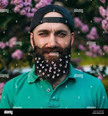 A bearded man with a decorated beard for the Spring holiday. Lilac flowers  in the beard Stock Photo