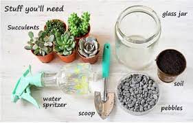 Setelah memilih tanaman yang tepat, waktunya memulai. Membuat Terrarium Anda Sendiri Myrokan