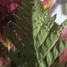 Check spelling or type a new query. Citiflowers 34 Photos 25 Reviews Florists 1400 L St Nw Washington Dc Phone Number Products Yelp