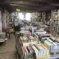 Book Sale Saturday at Landis Arboretum