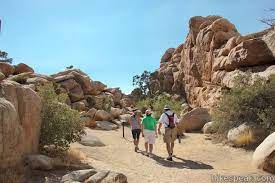 Hidden Valley Trail Description Photos And Directions For This 1 Mile Loop With Great Bouldering In Jos Joshua Tree National Park National Parks Joshua Tree