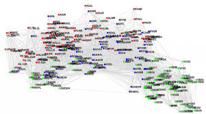 Image result for Monotes elegans