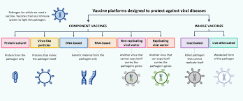 Vaccine, suspension of weakened or killed microorganisms or toxins or of antibodies or lymphocytes that is administered to prevent learn about the history, effectiveness, and types of vaccines. About Vaccines Covid19 Vaccine Tracker