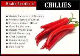 Lots of culinary hobbyists love the spicy tastiness of using it fresh. Chilli Farming Cultivation Process Profit With Business Plan 2018