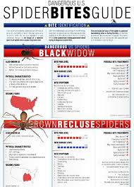 61 Conclusive Spider Bites Identification Pictures