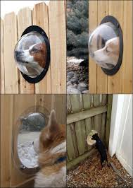 Every Dog Should Have A Point Of View Http Theownerbuildernetwork Co Uzaj E2 80 A6 Goruntuler Ile Kopek Kulubeleri Kopek Yataklari Evcil Hayvanlar