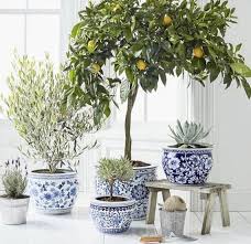 Decoracionconplantas In 2020 Asian Garden Garden Pots Blue And White