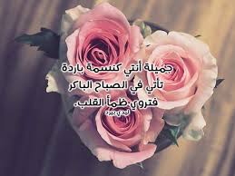 كلام غزل للجميلات ليدي بيرد