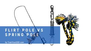 From a diy flirt pole to a tug toy made from old shirts, these homemade toys are. Flirt Pole Vs Spring Pole Which One Is Right For Your Dog Trainyourgsd