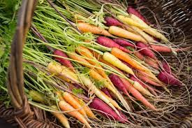 Sluis and groot, a legacy company of syngenta, was. Gordon Castle And Walled Garden