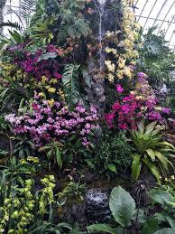 Orchidelirium 2016 Orchid Show At The New York Botanical Garden Quintessence Tropical Garden Vertical Garden Tropical Garden Party