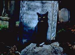 Black Cats Are The Best Oh My Disney Hocus Pocus Movie Hocus Pocus Disney Hocus Pocus Cat