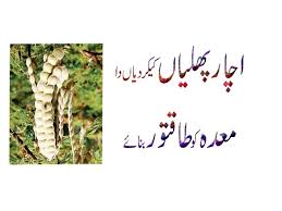 Read more how to make albishir by cookpad : Achar Pickle Phalyaan Kikar Acacia Di Meda Ko Zabardst Taqat Dey Urdu Hindi Punjabi Youtube