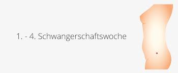 Was geschieht, wenn eine frau schwanger geworden ist? 1 4 Ssw Schwangerschaftswoche Der Beginn Der Schwangerschaft