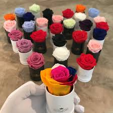 Check spelling or type a new query. Single Long Lasting Rose Box Lifetime Is Over 1 Year Rose Box Flower Box Gift Eternity Roses