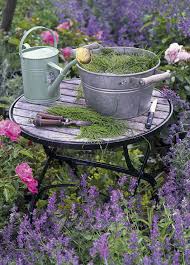 trucs de grand mere pour tirer profit des mauvaises herbes mauvaises herbes potager facile herbe
