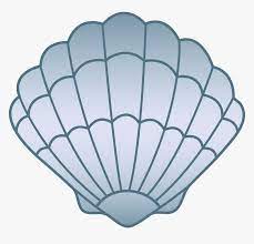 Affordable and search from millions of royalty free images, photos and vectors. Clam Seashell Black And White Clip Art Transparent Background Seashell Clipart Hd Png Download Kindpng