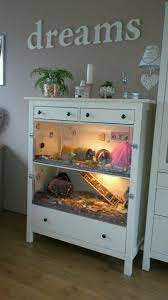 Pin On Diy Pet Stuff