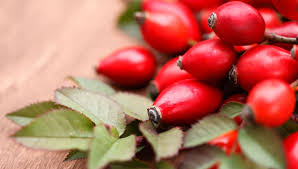 La Confiture D Eglantine Dite Buttemues De Jean Michel Obrecht