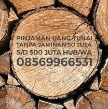 Pinjaman dana tunai dengan berbagai keuntungan. Tempat Pinjaman Uang Tanpa Jaminan Di Depok Sebuah Tempat