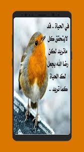 كلمات من دفاتر الايام For Android Apk Download