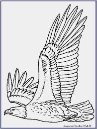 Download gambar sketsa burung garuda karakter manusia 2. 70 Sketsa Gambar Burung Garuda Hantu Elang Lengkap