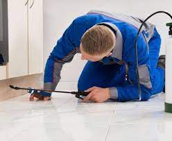 As these summer insects invade your home, they're likely in. How To Prevent The Dirtiest Restaurant Pests Qsr Magazine