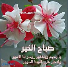 بوستات صباح الخير اجمل رسائل صباح الخير beautiful morning messages beautiful flowers wallpapers good morning images