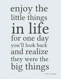 Enjoy The Little Things In Life For One Day Up 25 Amazing Quotes About Life With Images Amazing Inspirational Quotes Quotes Famous Quotes About Life