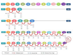 Apakah soalan ramalan spm 2018? Bumigemilang Upsr
