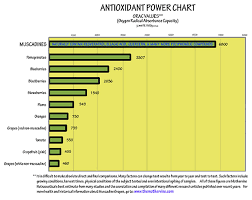 Muscadine Research Polyphenols Phytonutrients