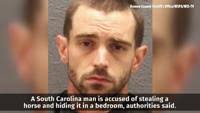 South Carolina man accused of stealing horse, hiding it in bedroom