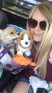 Hazel Disapproving of her new toy basket! Oh…. The sass is Strong with her  😜💖