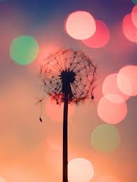 Cute camomiles will be circling and flying in front. Great Screen Savers For Girls Cute Screen Savers Screen Savers Wallpapers Screen Savers