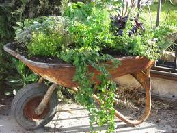 Indoor Style For Outdoor Living Potted Container Gardening Fruit Wheelbarrow Garden Container Gardening