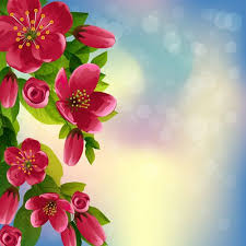 Beautiful Red Flower Vector Background 02 Vector Background Vector Flower Free Download Flower Backgrounds Vector Flowers Flower Art