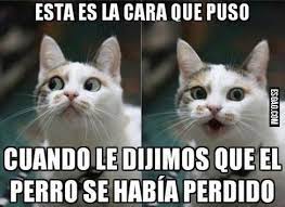 Memes En Espanol Buscar Con Google Funny Spanish Memes Stupid Memes Funny Memes