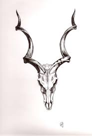 Traditional Tattoo Animal Skull Greater Kudu Skull In Ink By Hayvan Kafatasi Dovmeleri Hayvan Dovmeleri Kafataslari