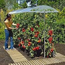 Tomatenhaus Selber Bauen Unser Beispiel Und Bauanleitung Heimwerkerkniffe De Tomaten Garten Garten Garten Hochbeet