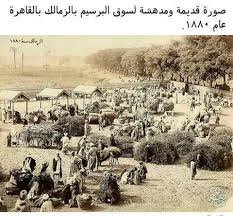 Pin By Medhat Abdallah On Egypt History In 2020 Egypt History Egypt History