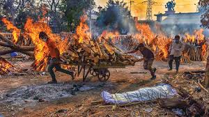 The company looks after stevedoring, handling and inland transportation of coal through roadways and railways both. A Tragedy Of Errors 10 Reasons Behind India S Catastrophic Covid Crisis Cover Story News Issue Date May 17 2021