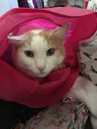 No idea how old he is. He was my sisters before I had him. He lives