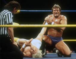 Paul Orndorff, Wrestler Known as Mr. Wonderful, Dies at 71 - The New York  Times