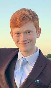 Addictive wellness thai black ginger freeze dried powder kaempferia parviflora thai ginseng. Red Hair Wikipedia