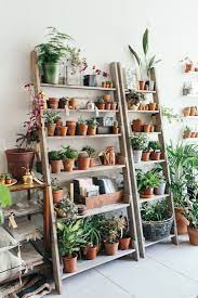 Check spelling or type a new query. Object Of Desire Wooden Ladder Bookshelf For Plants Gardenista Indoor Plant Shelves Plant Shops Plants