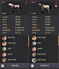 Bdo Horse Guide Start Training Here Grumpyg