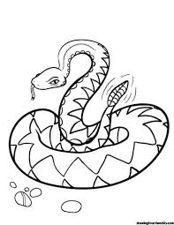 Rattlesnake Coloring Page Coloring Pages Snake Coloring Pages Free Printable Coloring Pages